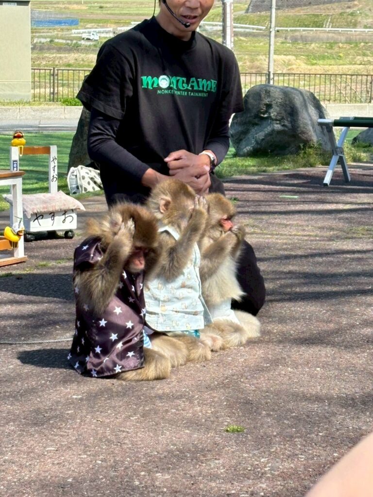 川場田園プラザ　猿の芸