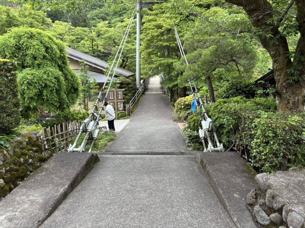 青梅 澤乃井
