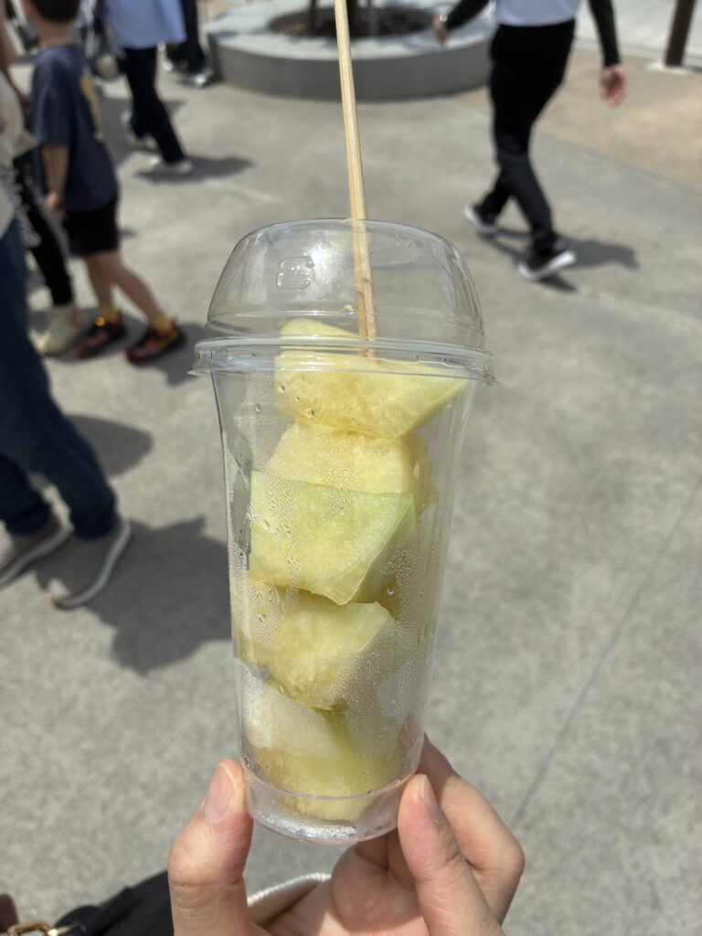 道の駅常総 メロン