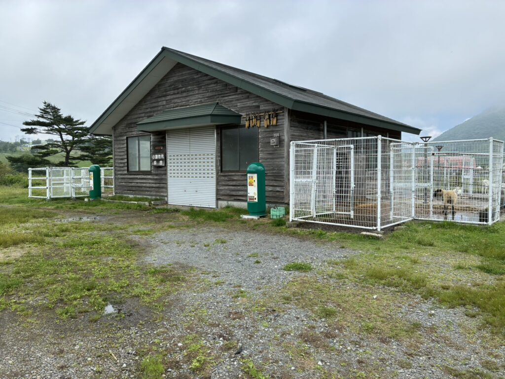大笹牧場 ヤギ