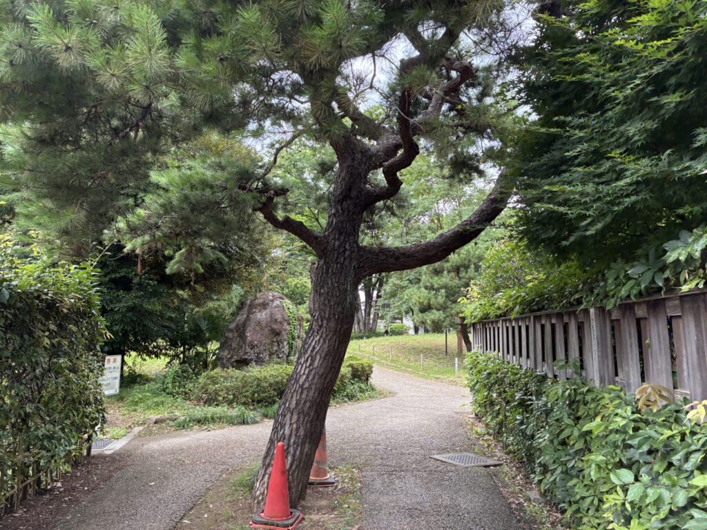 浦和北公園