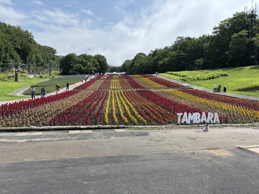 たんばらラベンダーパーク　