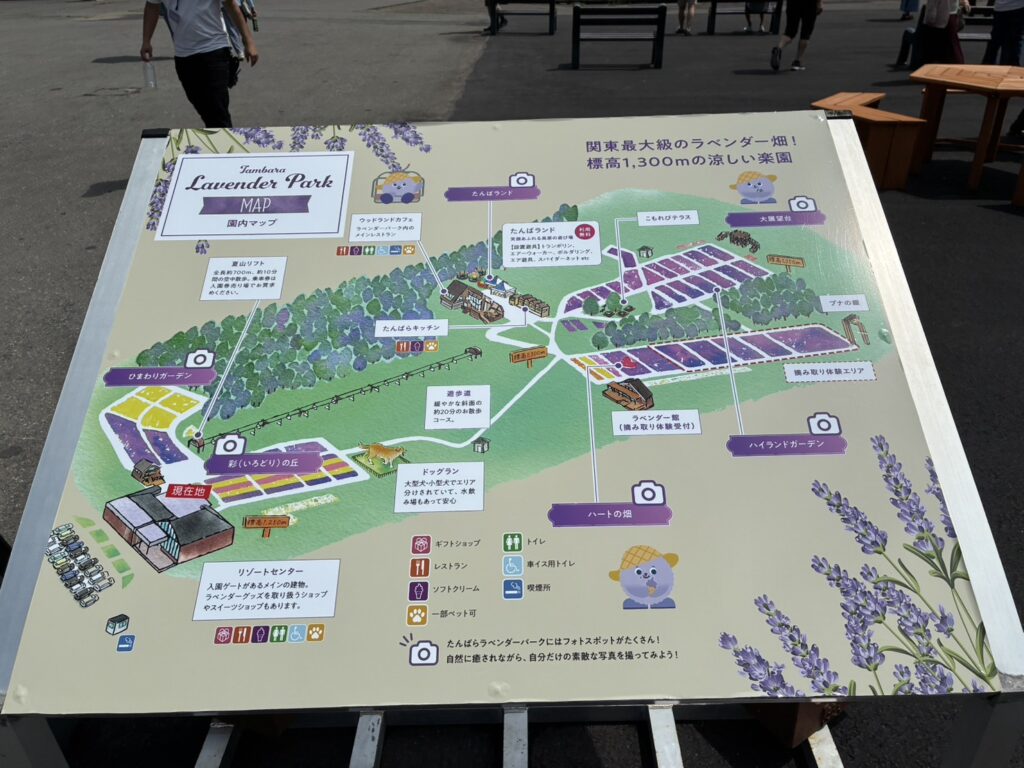 たんばらラベンダーパーク　