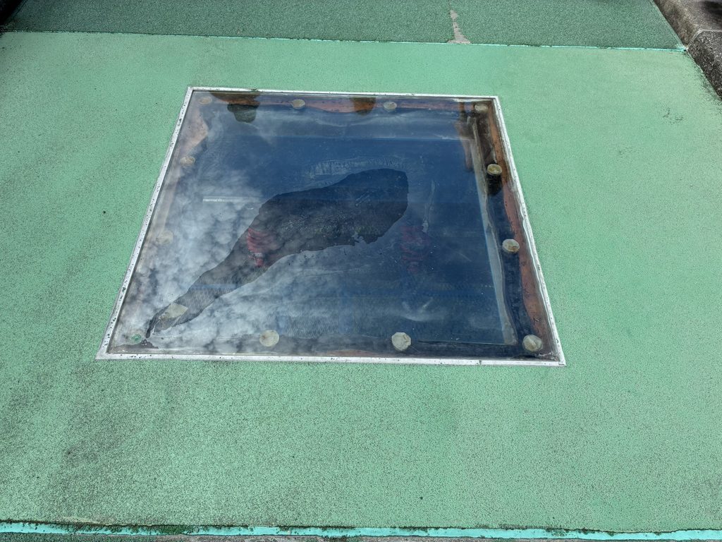 竜神大吊橋　