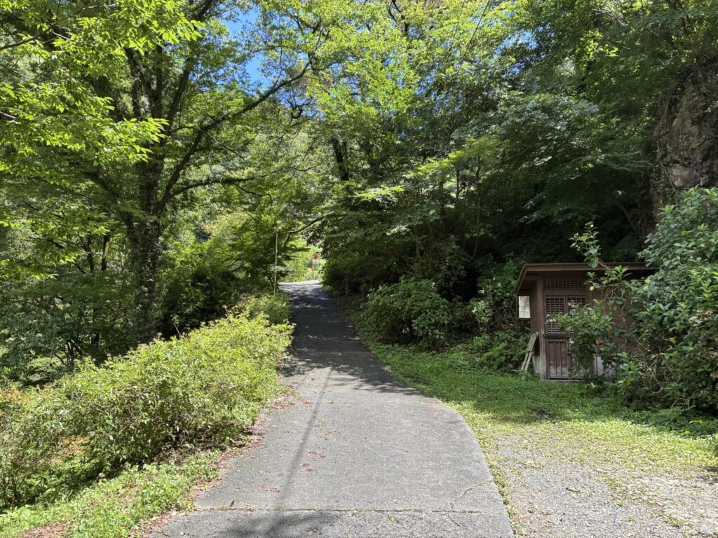 袋田の滝　つり橋