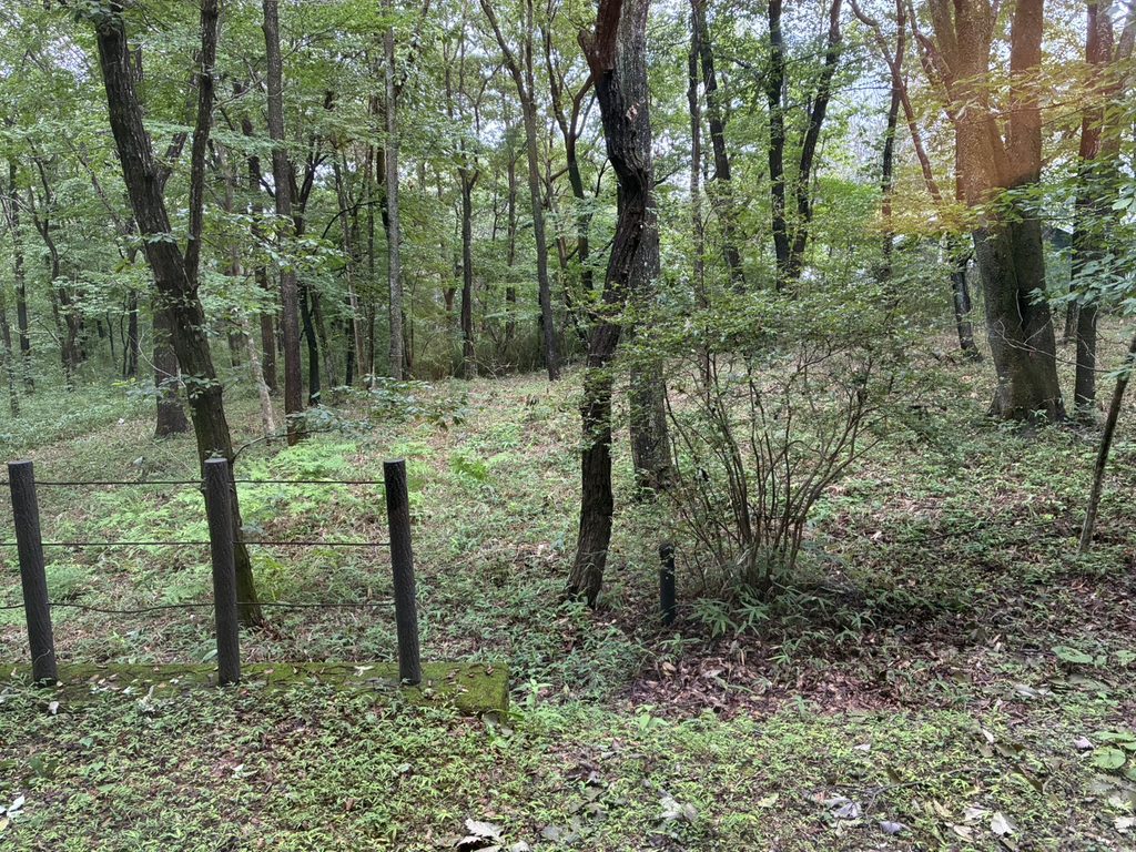 THE KEY HIGHLAND NASU　部屋